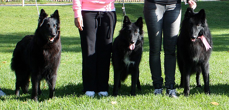 Aurora.Girl Can Rock.Good Luck Charm 9.09.2012 - 1v3kk.Aku.Gidi.Verdi.RS2.jpg (458929 bytes)